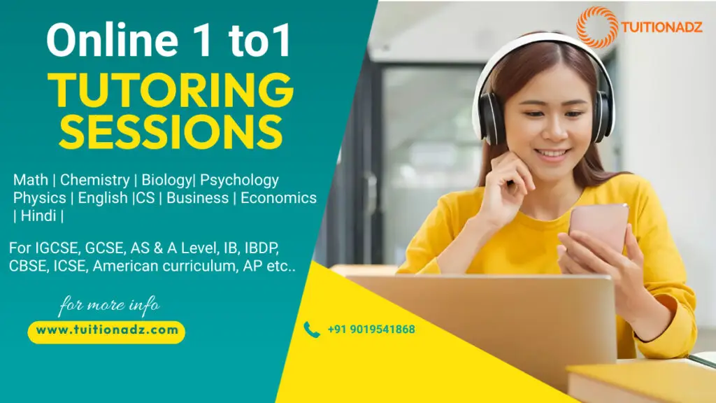1 to 1 online classes